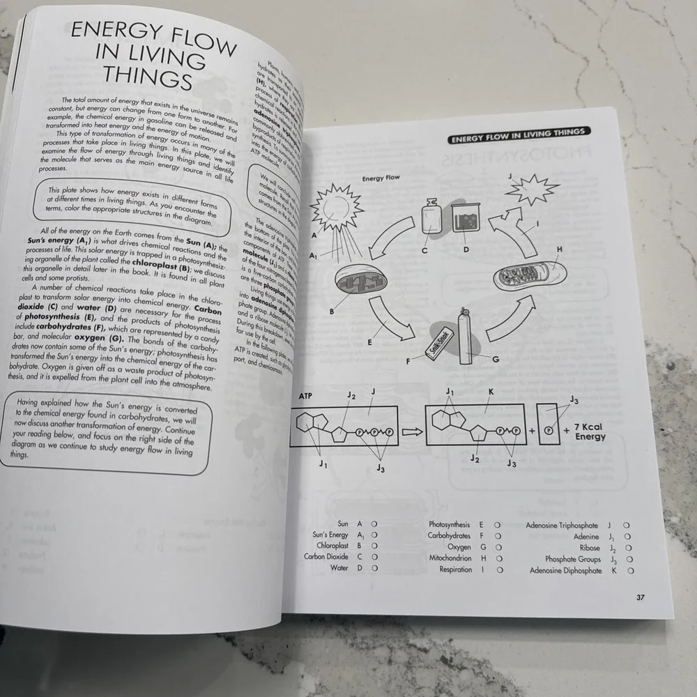 Biology Coloring Workbook, 2nd Edition. Brand New